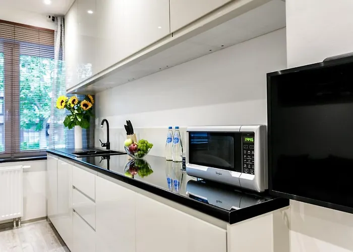 Rys W Centrum Apartzakop