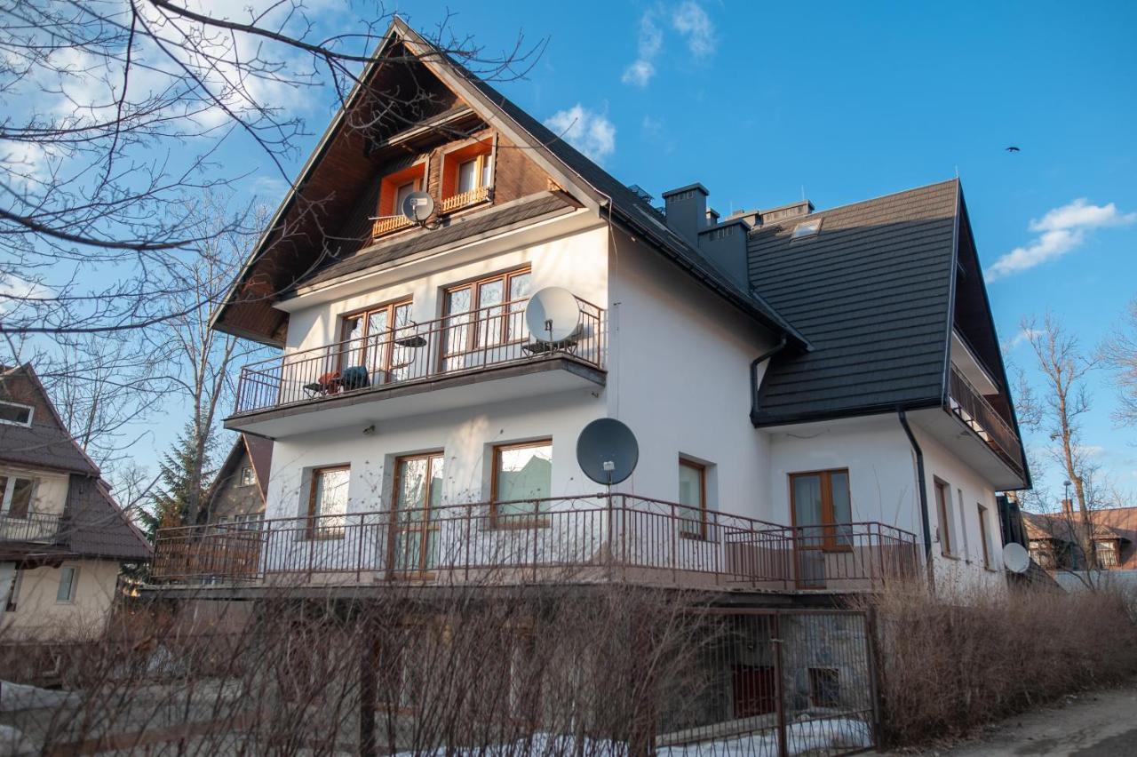 Rys W Centrum Apartzakop Zakopane